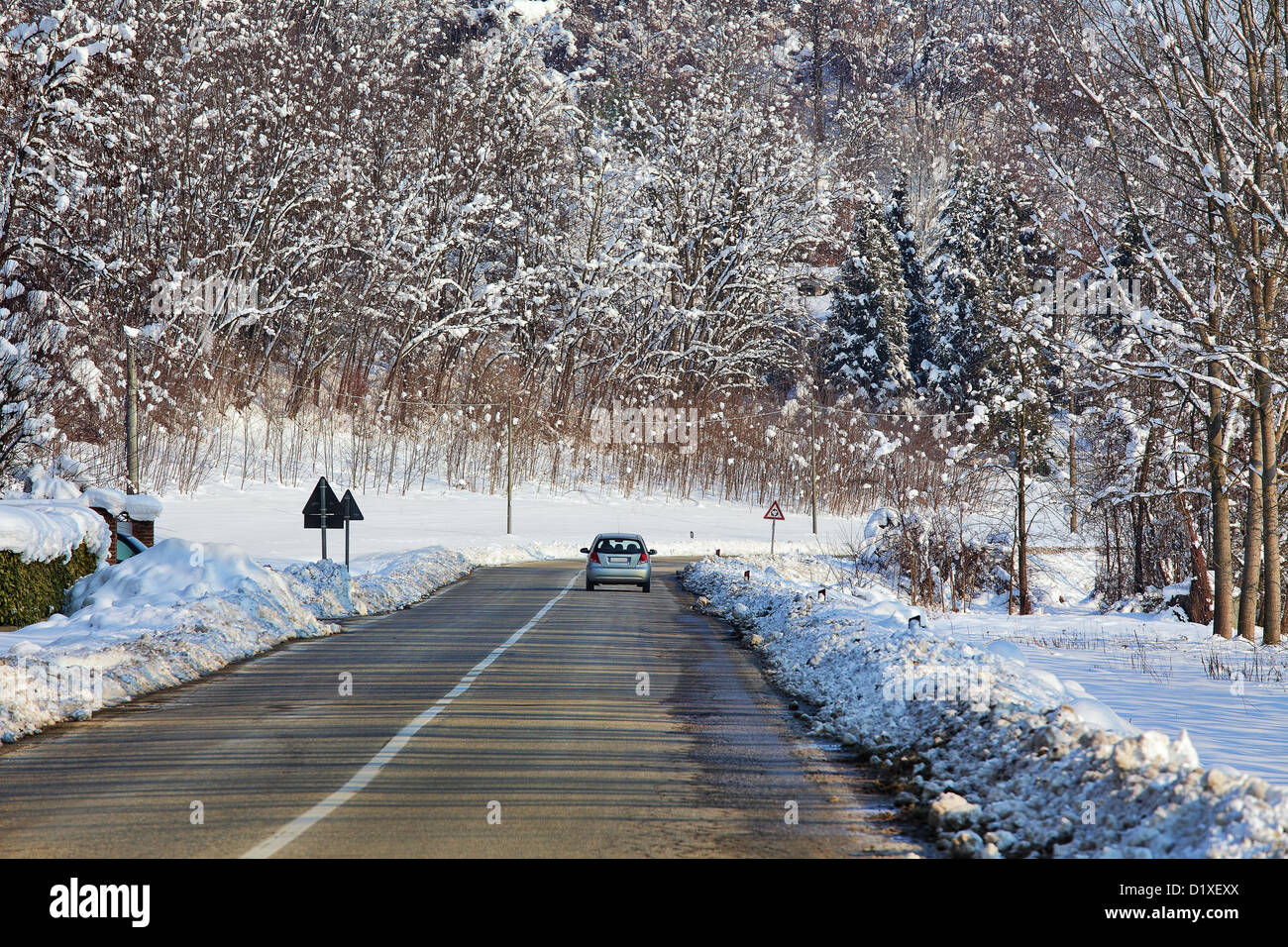 Car on the road among trees on fields covered by snow at winter in ...