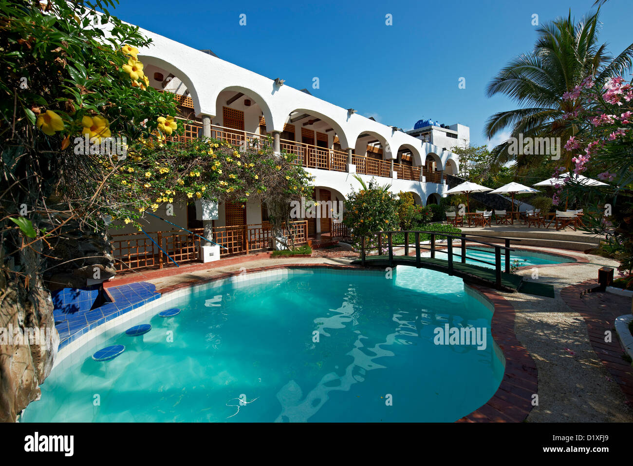 inner courtyard with swimming pool of Hotel Silberstein, Puerto Ayora,  Santa Cruz, Galapagos Islands, Ecuador Stock Photo - Alamy