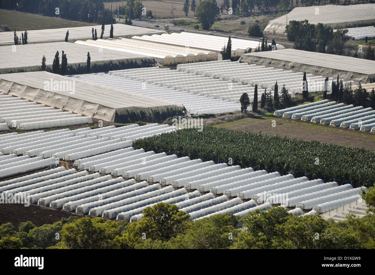 Greenhouse agriculture israel hires stock photography and images Alamy