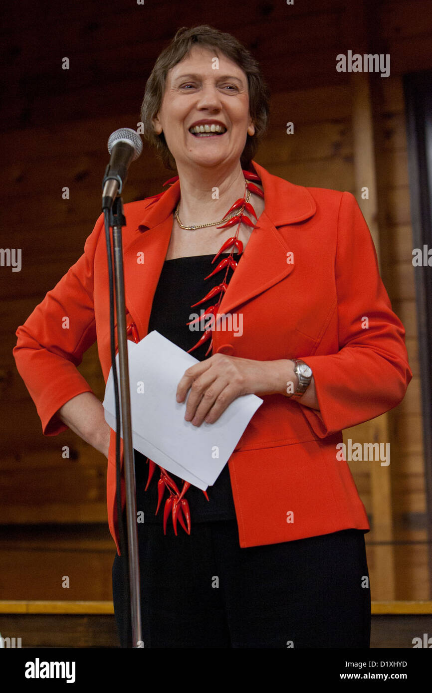 Former New Zealand Labour Prime Minister Helen Clark addressing her Mount Albert constituency Labour Party at her 58th birthday Stock Photo