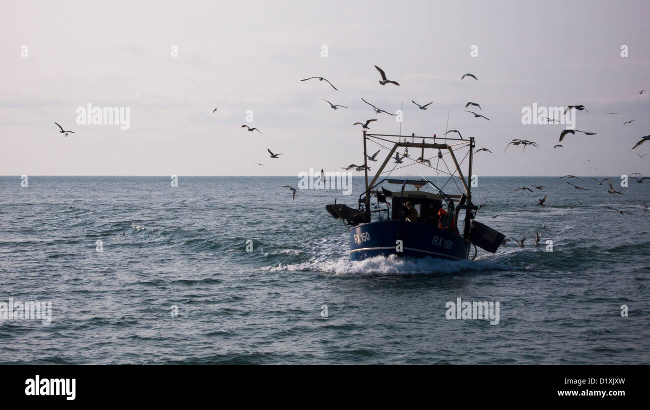 Commercial fishermen pick fish from a stern net, Bristol Bay