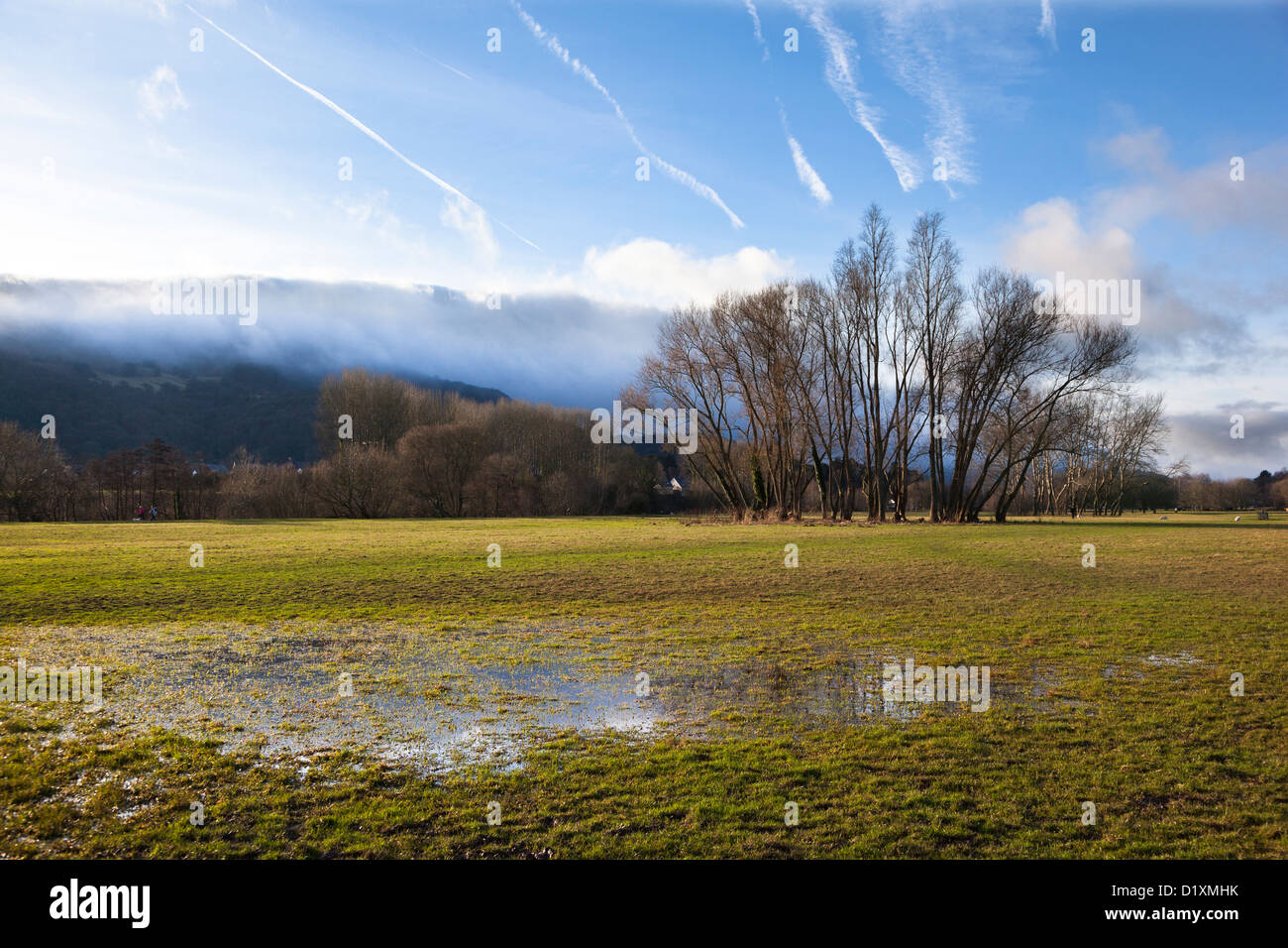 Waterlogged field on Castle Meadows, Abergavenny, Wales, UK Stock Photo