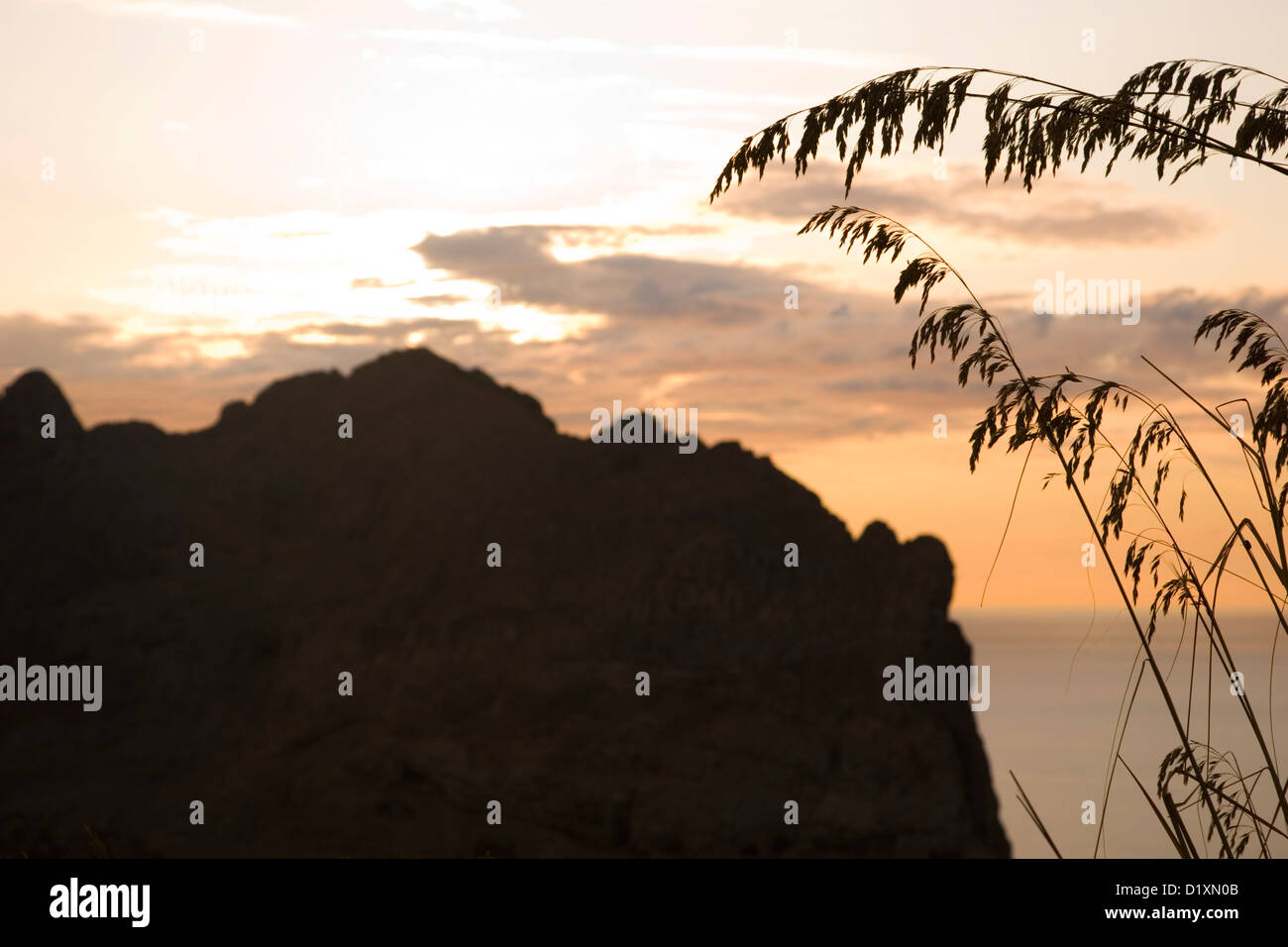 Port de Pollença, Mallorca, Balearic Islands, Spain. Jagged crest of the Serra del Cavall Bernat at sunset, Formentor Peninsula. Stock Photo