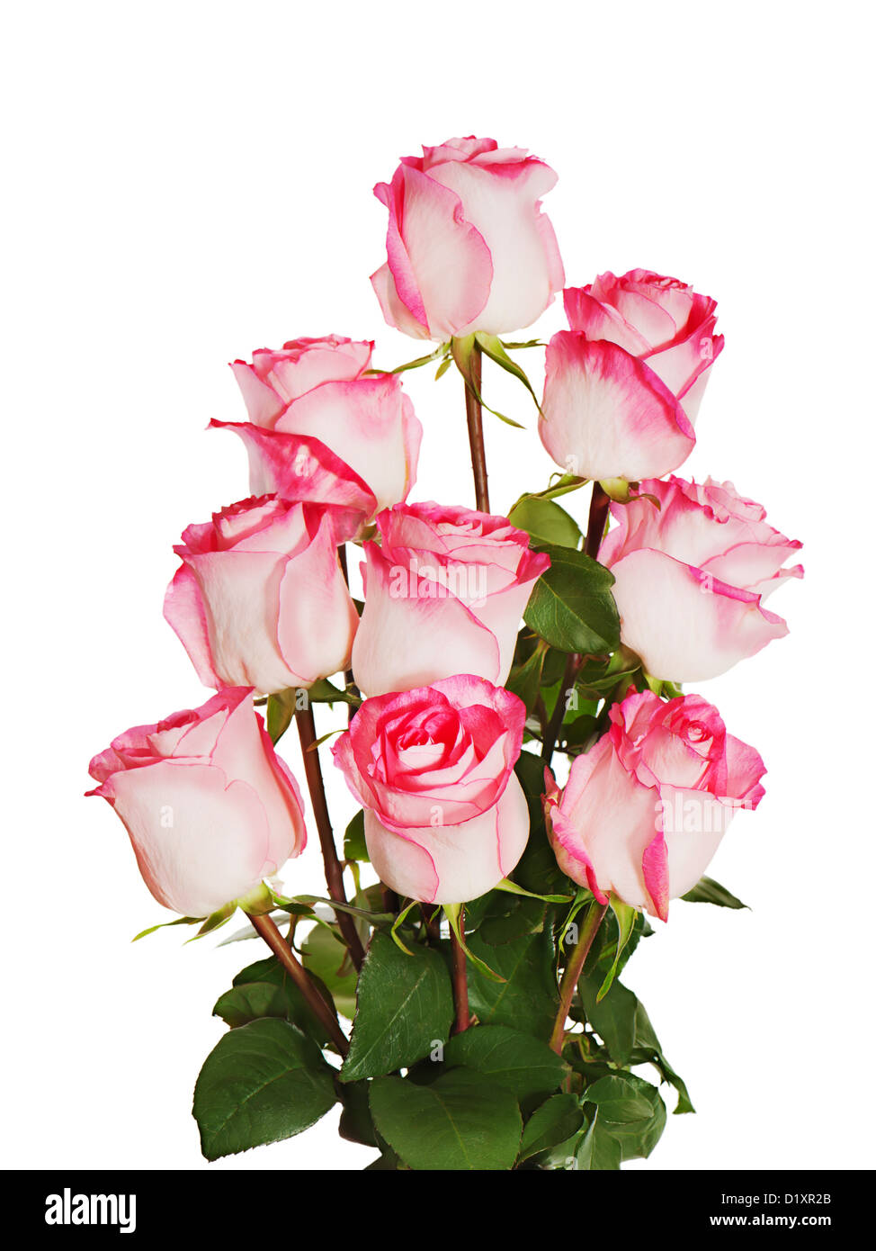 colorful flower bouquet from roses isolated on white background Stock Photo