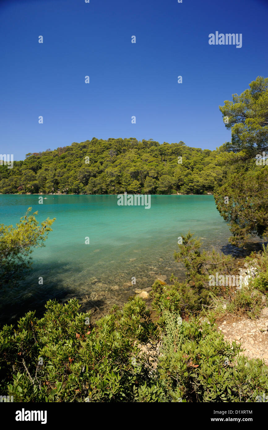 croatia, dalmatia, mljet island, malo jezero lake Stock Photo