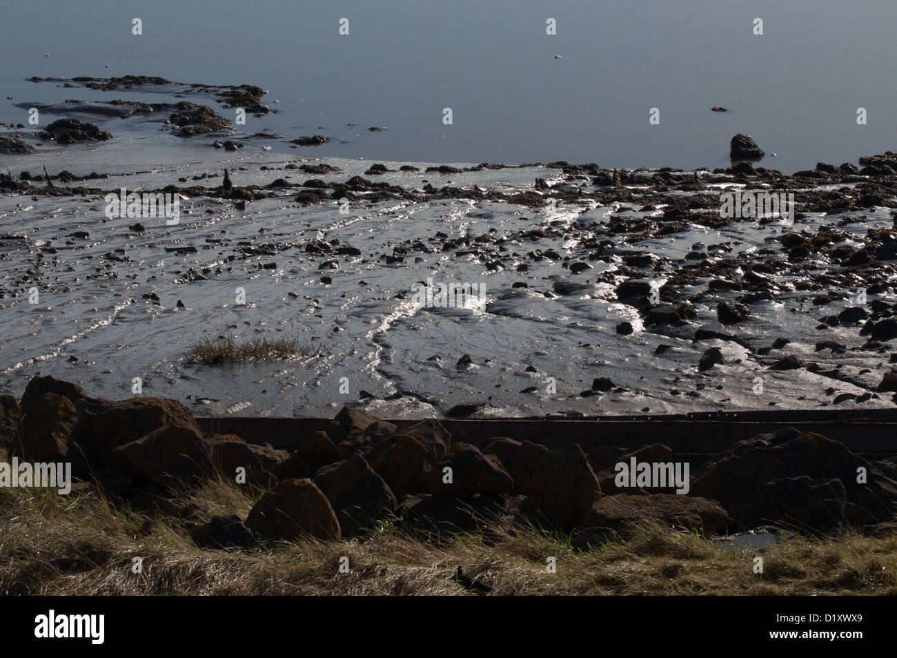 River Severn at low tide, mud bank, riverside, muddy pebbles, rock, stones Stock Photo