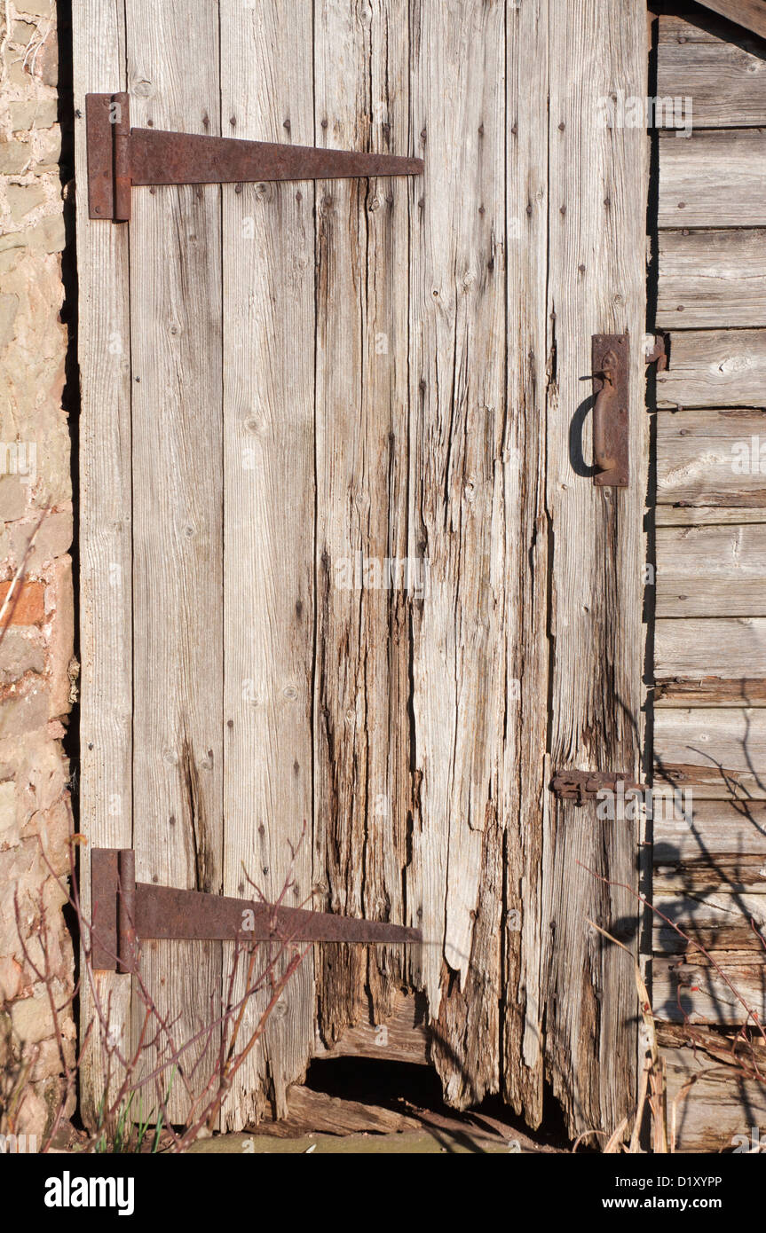 decaying wooden door, unpainted, weatherbeaten,neglected, rotted wooden door, iron hinges Stock