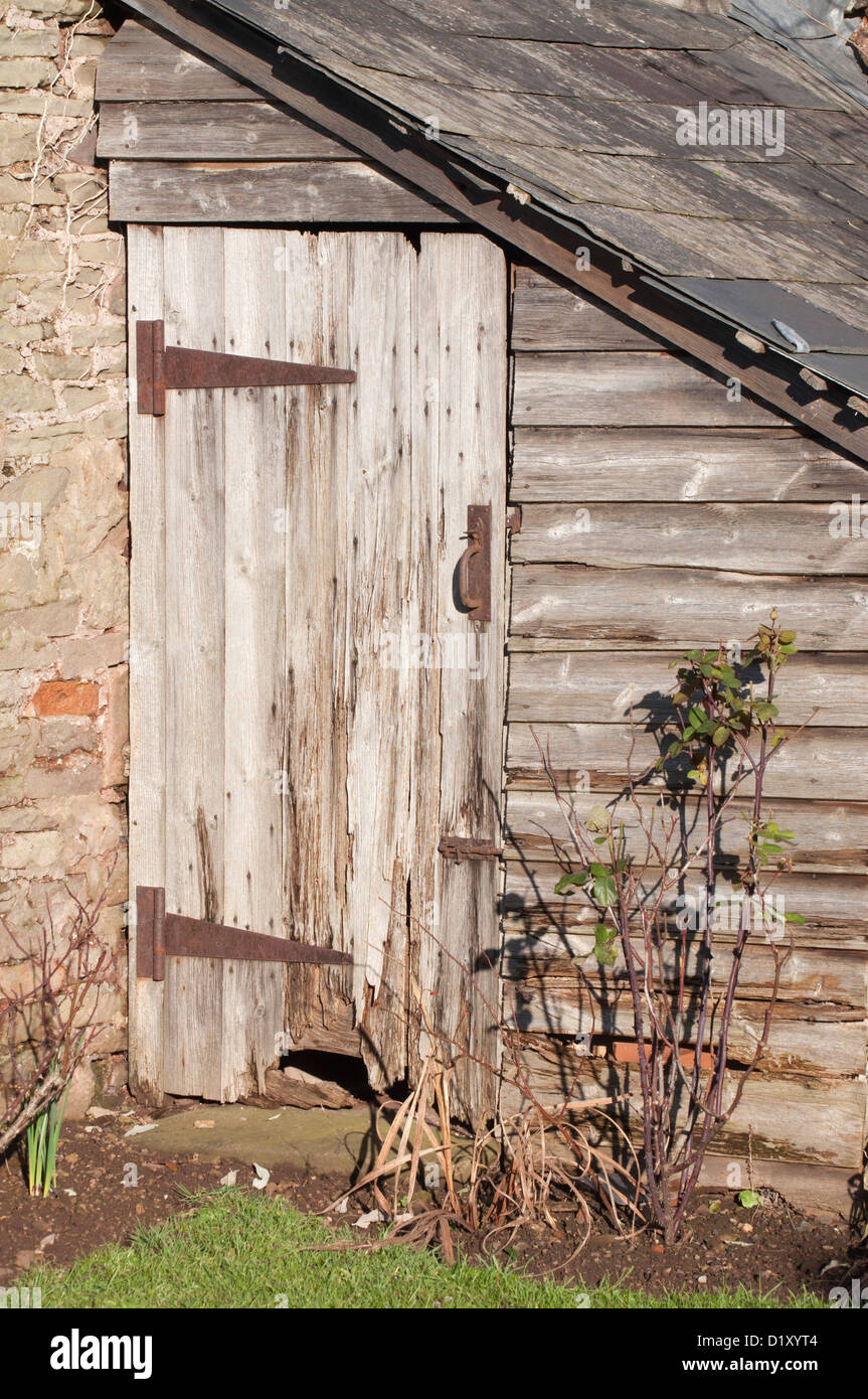 decaying wooden door, unpainted, weatherbeaten,neglected, rotted wooden door, iron hinges Stock