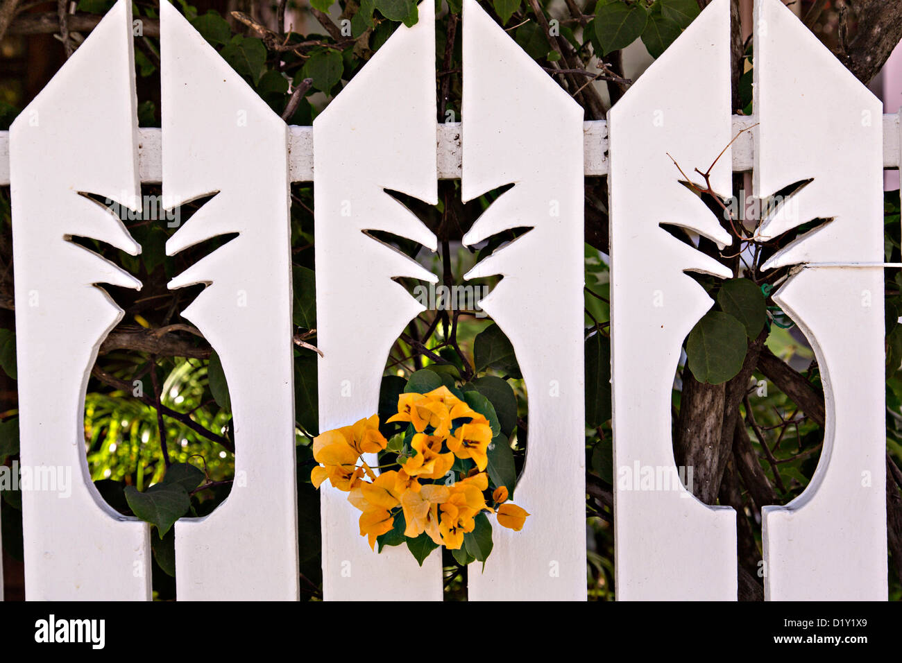 Old clapboard house in Dunmore Town, Harbour Island, The Bahamas Stock Photo Alamy