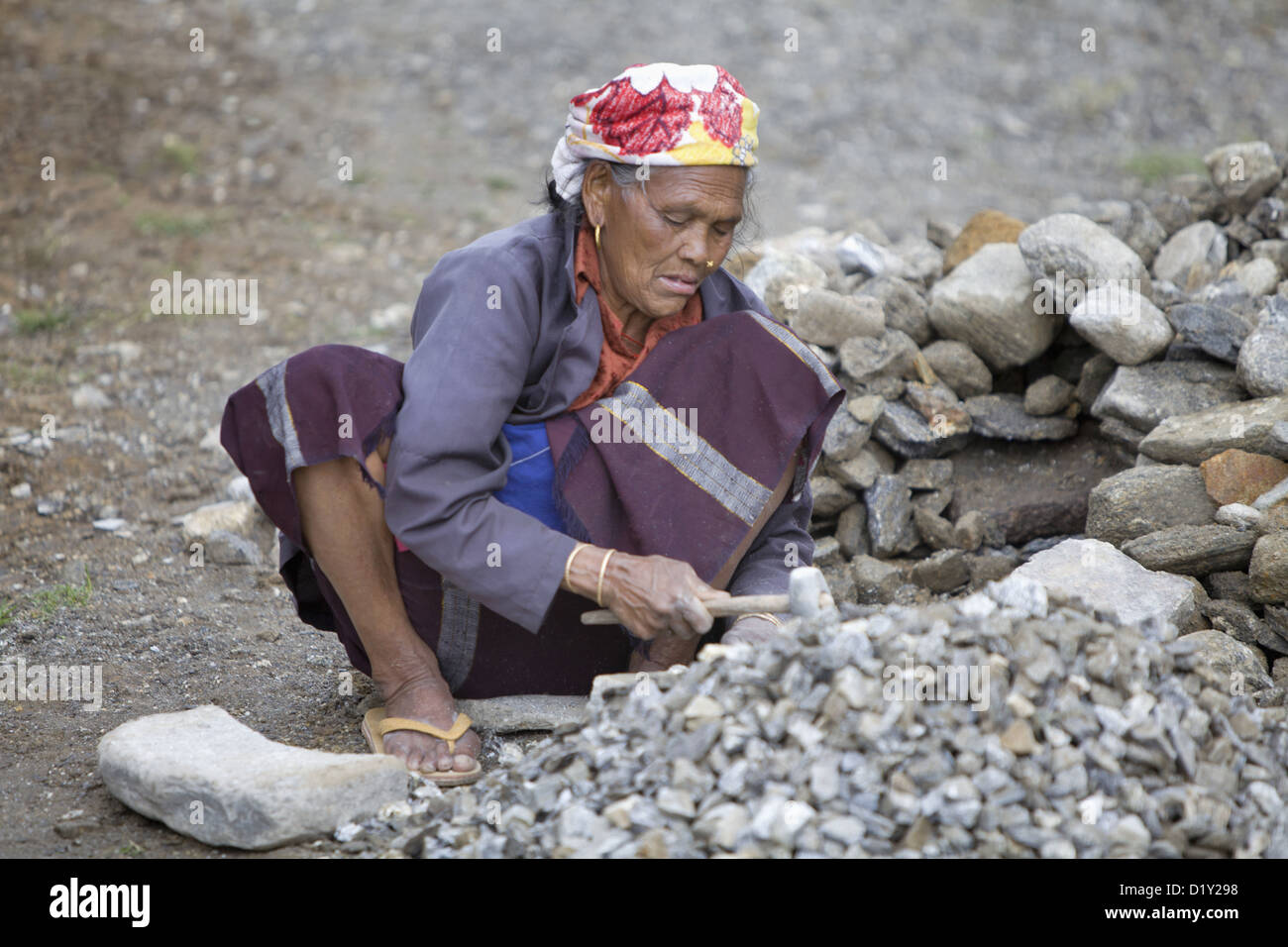 Woman crushing stones. Tawang, Arunachal Pradesh, India Stock Photo Alamy