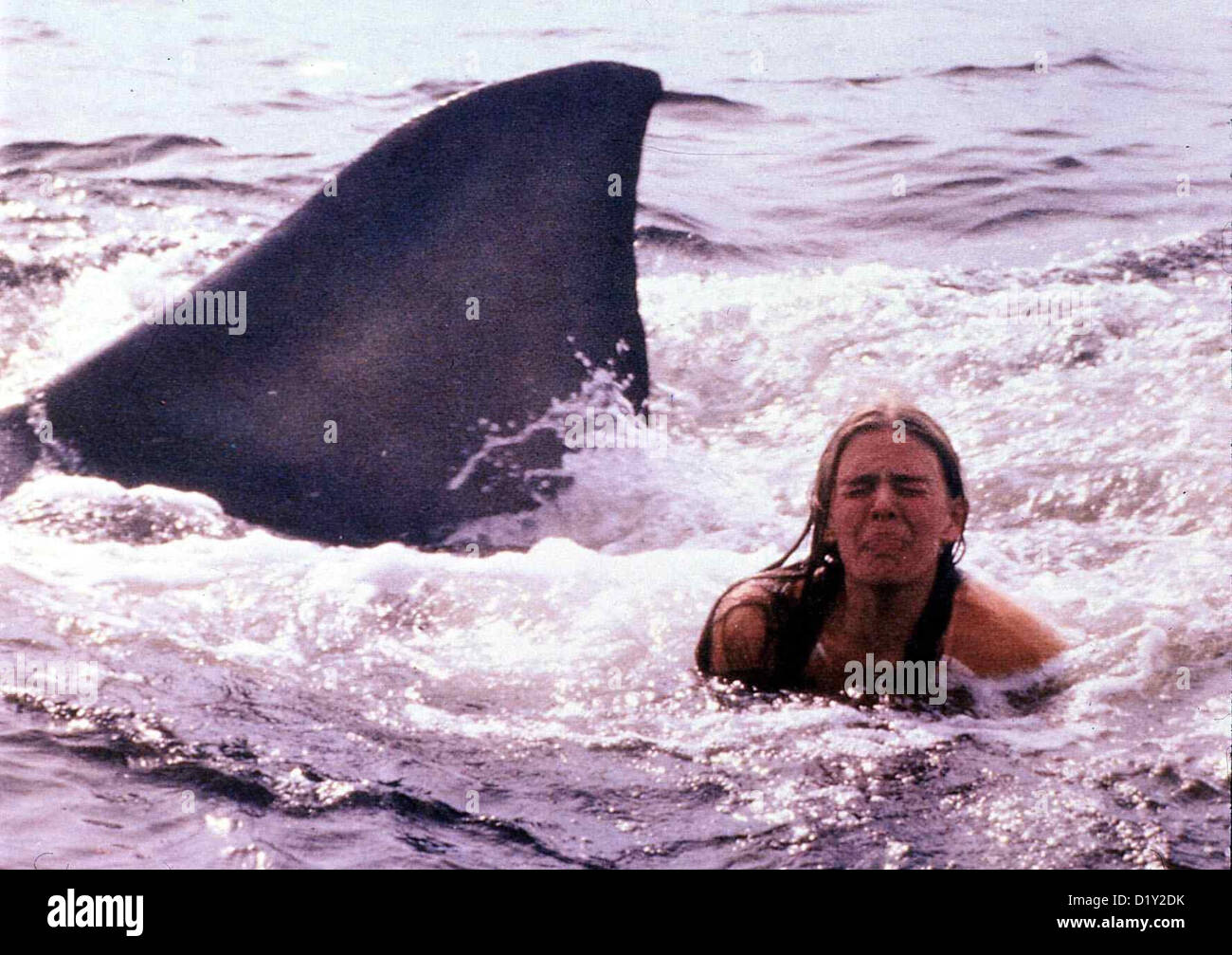 Der Weisse Hai 2  Jaws Ii  Cindy Grover Cynthia (Cindy Grover) wird von einem weiß¸en Hai attackiert. *** Local Caption *** Stock Photo