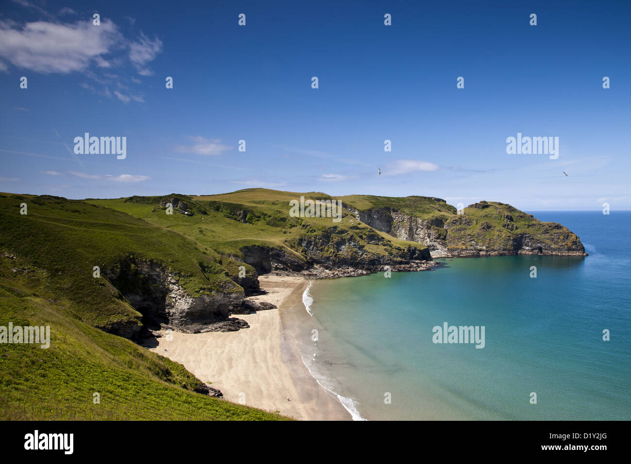 South West Coast Path, Tintagel to Boscastle Stock Photo