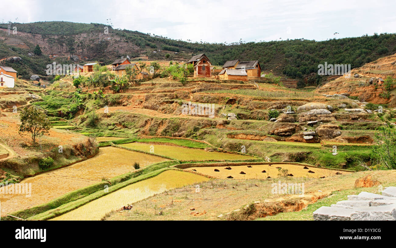 Paddy fields and a stone quarry by a village on the High Plateau near Antananarivo Stock Photo