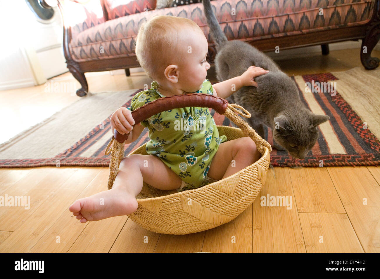 Baby in a basket with a cat Stock Photo