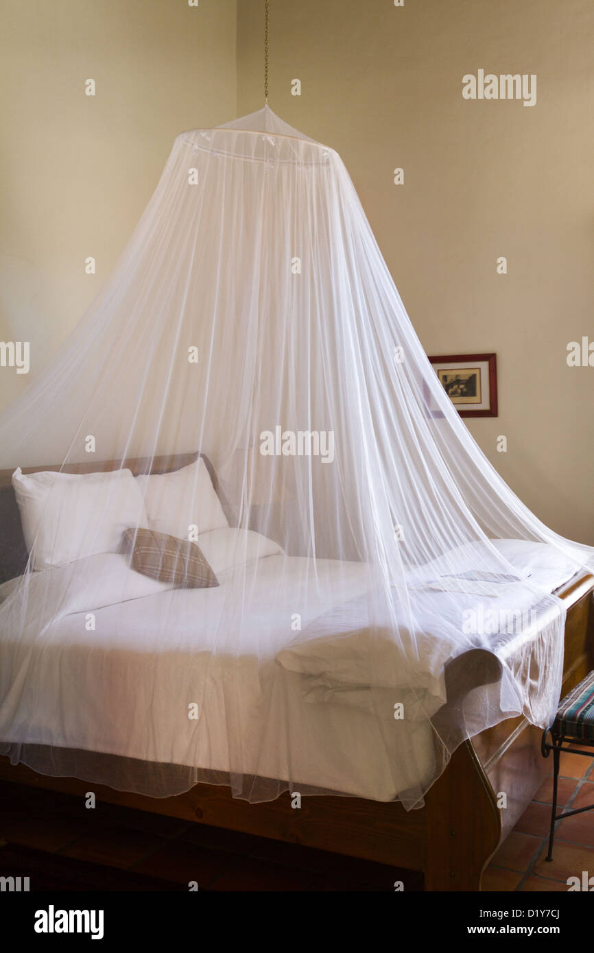 Canopy bed hotel bedroom hi-res stock photography and images - Alamy