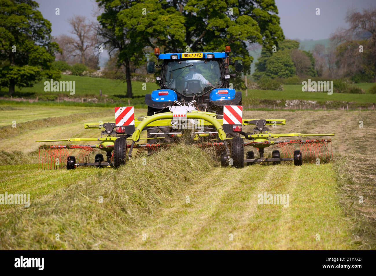 Rowing grass up in meadow with a Claas grass rake mounted on a New