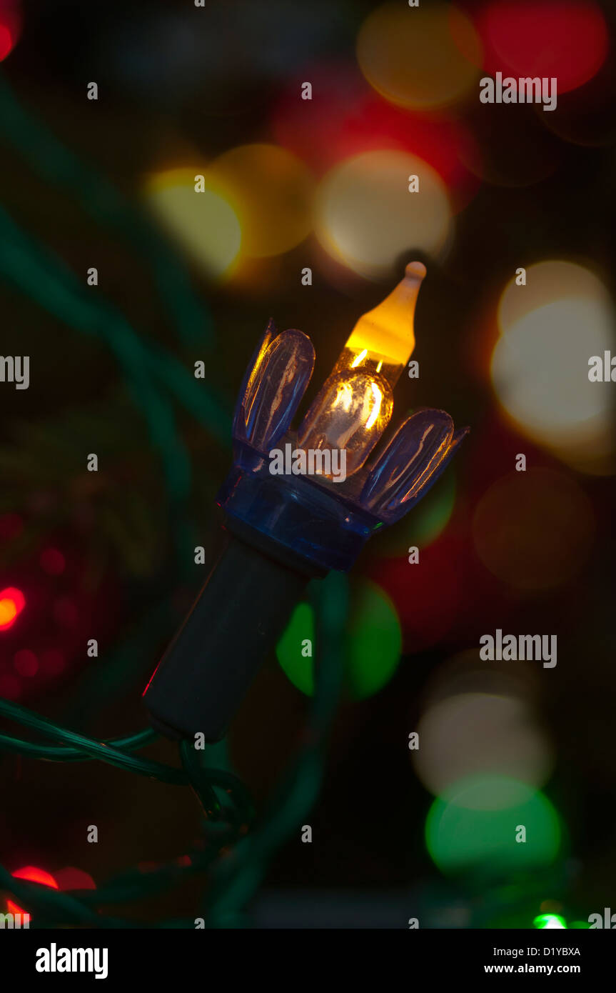 Christmas Tree Fairy Light Bulb Stock Photos & Christmas Tree Fairy Light Bulb Stock Images Alamy