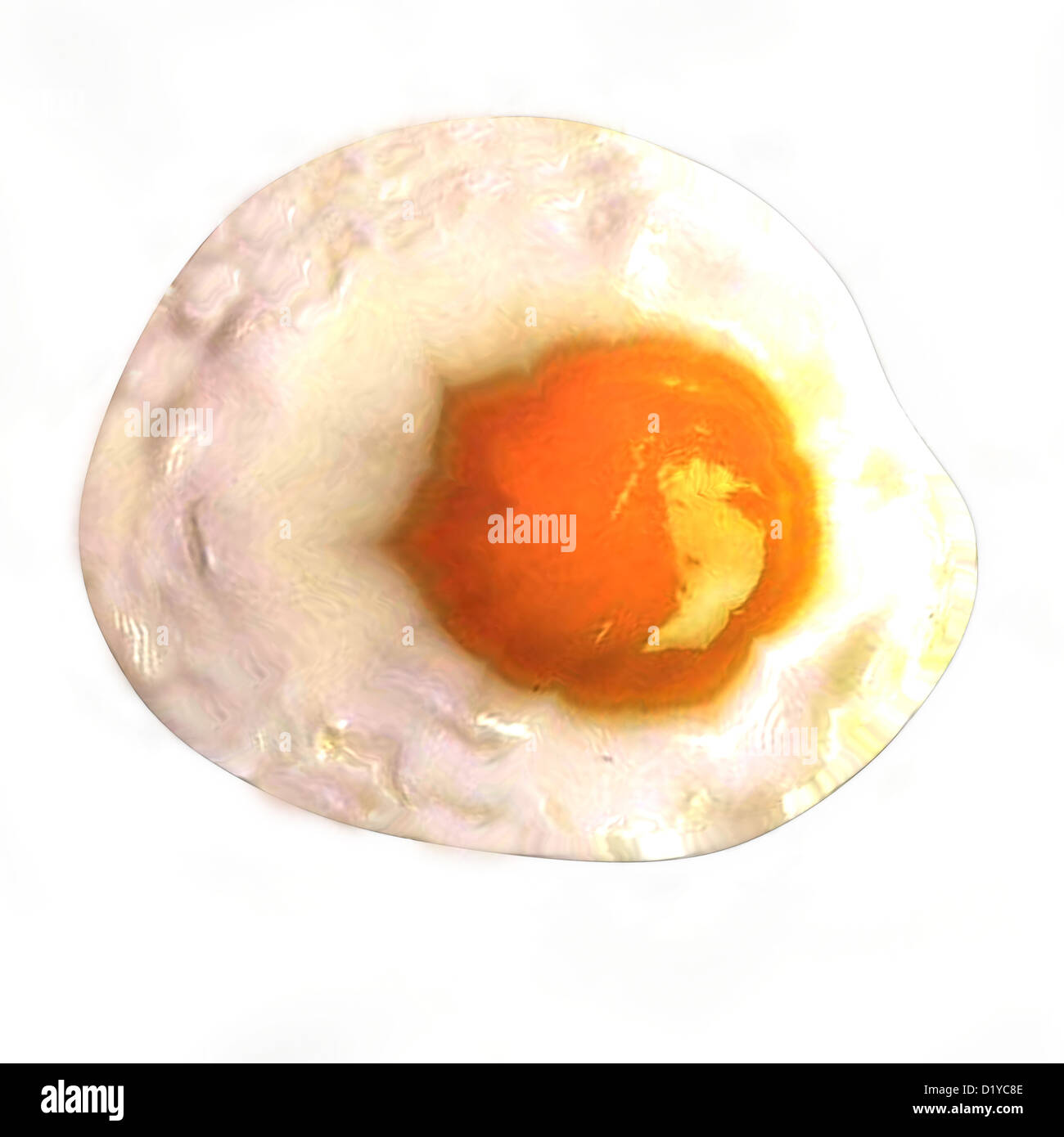 fried egg isolated on white background Stock Photo - Alamy