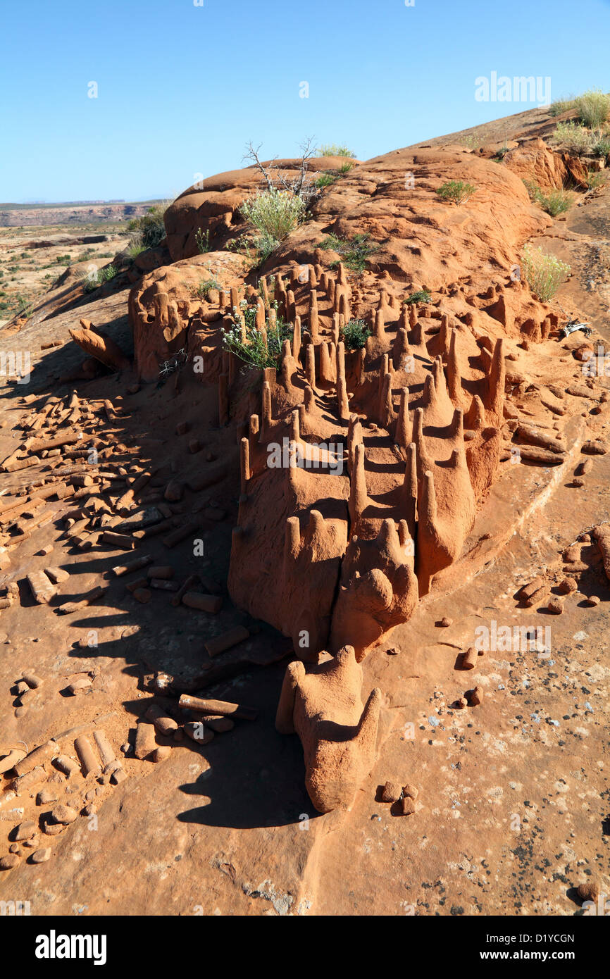 Crocodile Rock, at the Green River, UT, USA Stock Photo