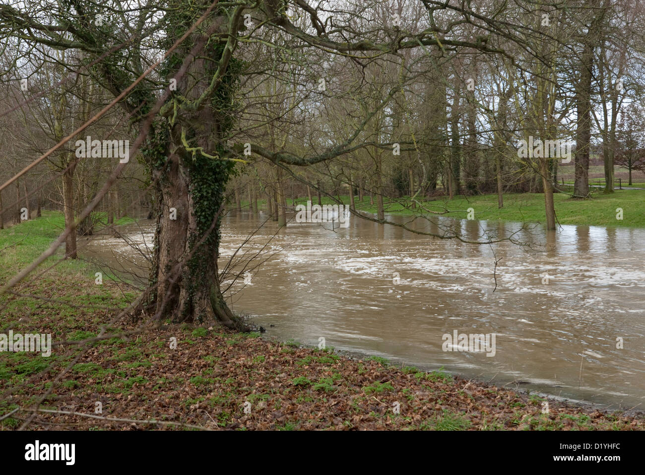 flooding in Buckinghamshire Stock Photo