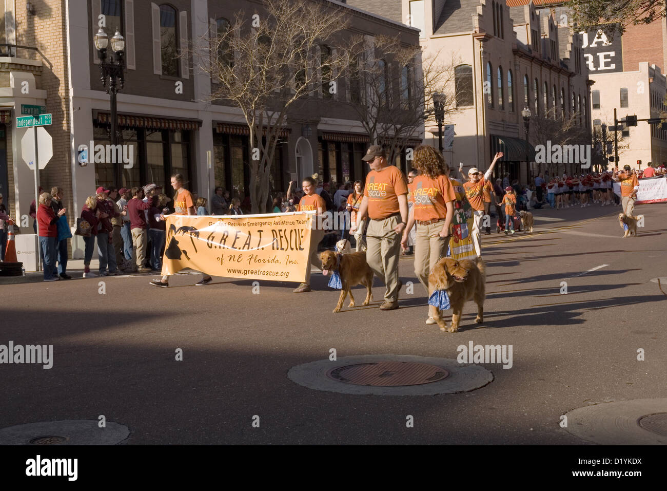 G.R.E.A.T. Golden Retriever Emergency Assistance Team Rescue in the 2013 Gator Bowl Parade in Jacksonville FL December 31, 2012 Stock Photo