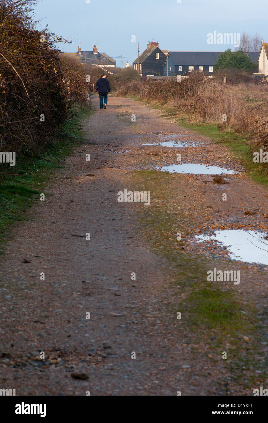 Gravel Wet Unmade Road With Puddles after Rain Stock Photo