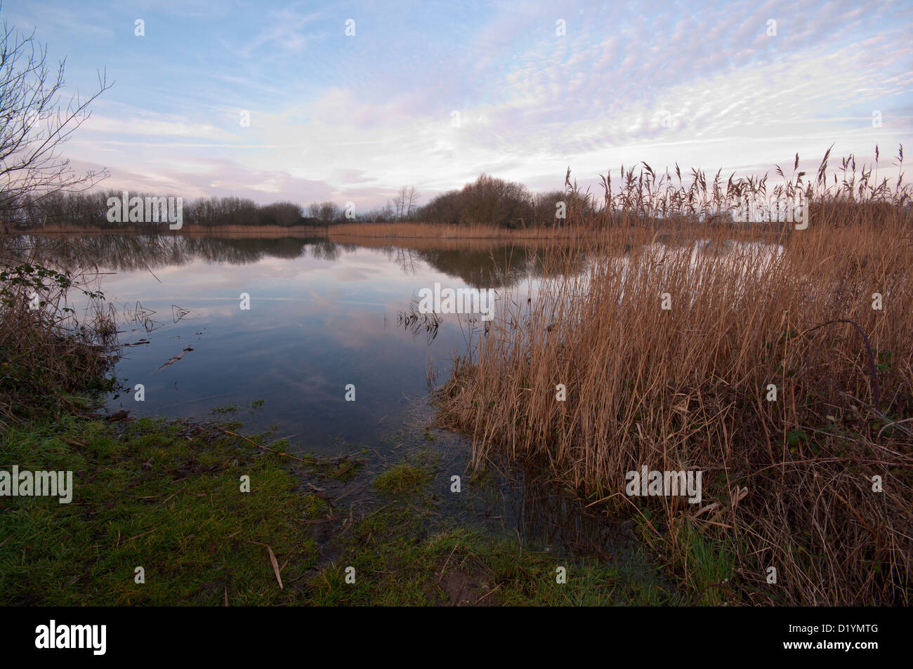 Peace Quiet and Tranquility at A Lake With Reedbeds At Rye Harbour Nature Reserve East Sussex UK Stock Photo