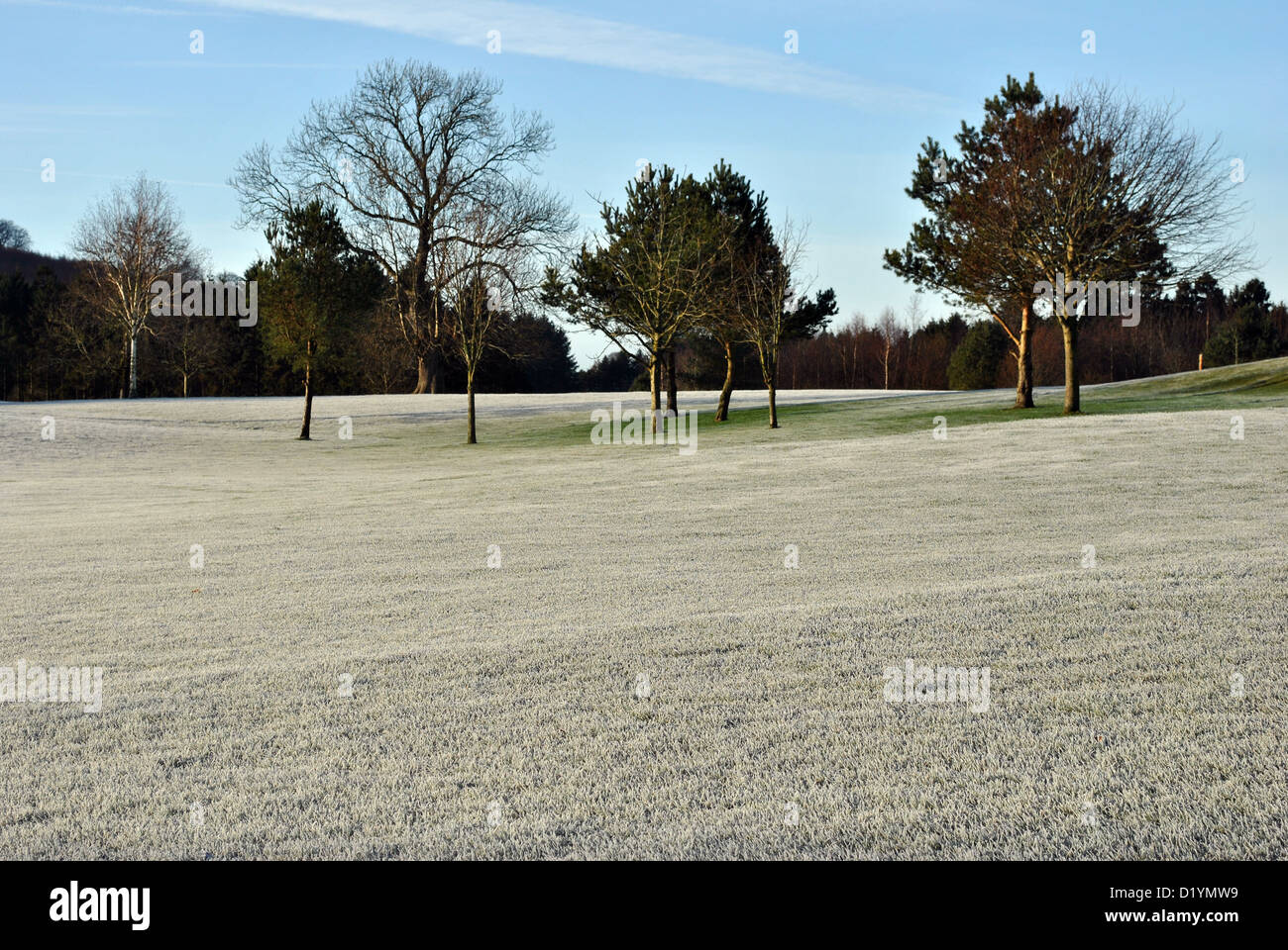 trees on a frozen fairway on a golf course in wicklow ireland Stock Photo
