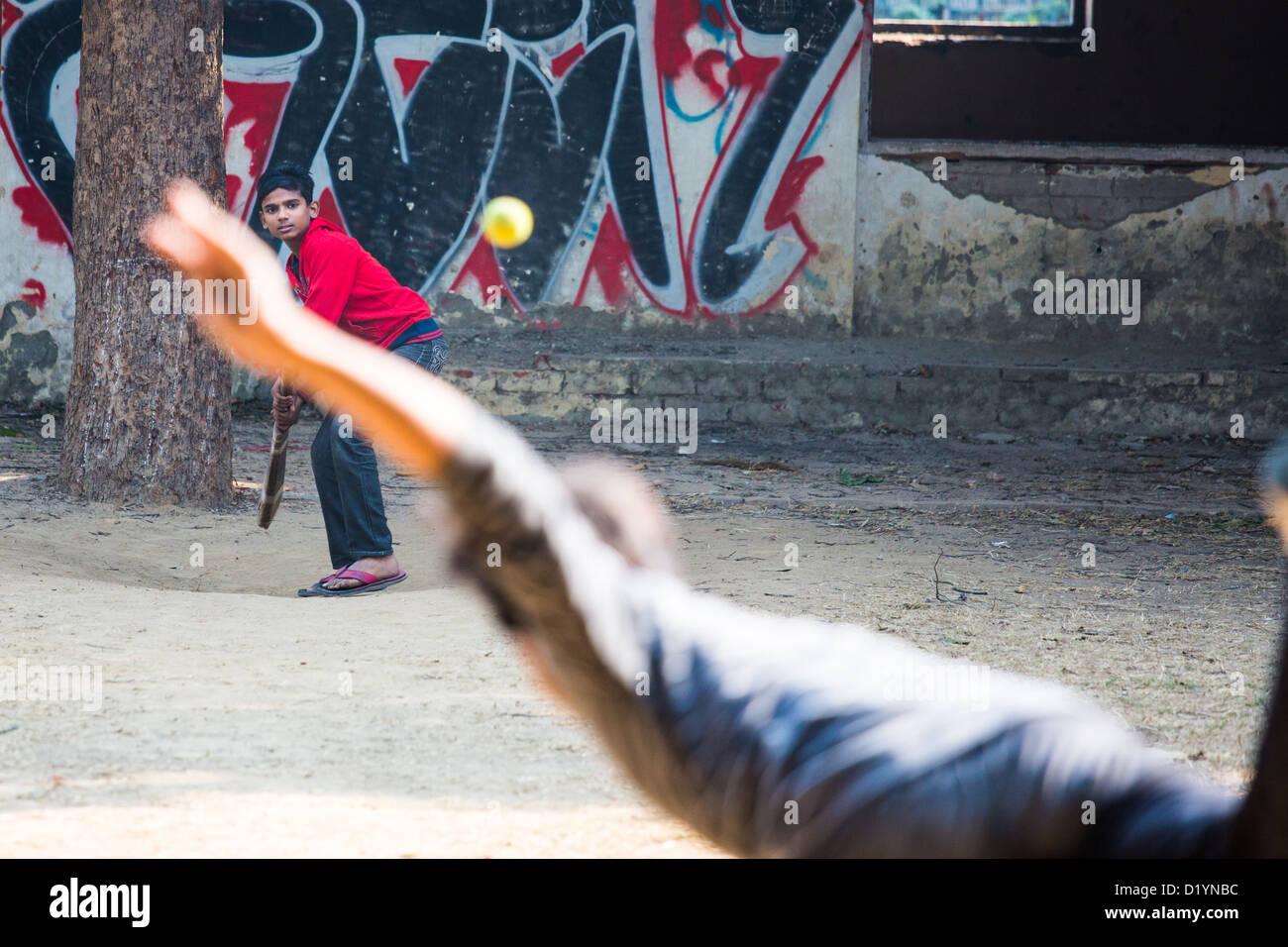 Cricket, Delhi, India Stock Photo