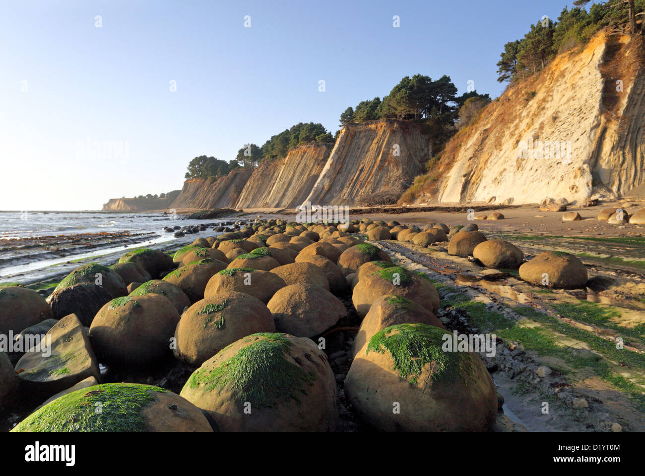 colega de clasa furniza Univers mare bowling ball beach Bangladesh