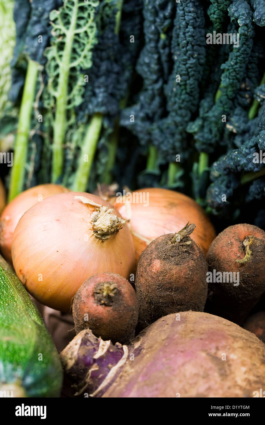 Fresh winter vegetables in a box. Stock Photo