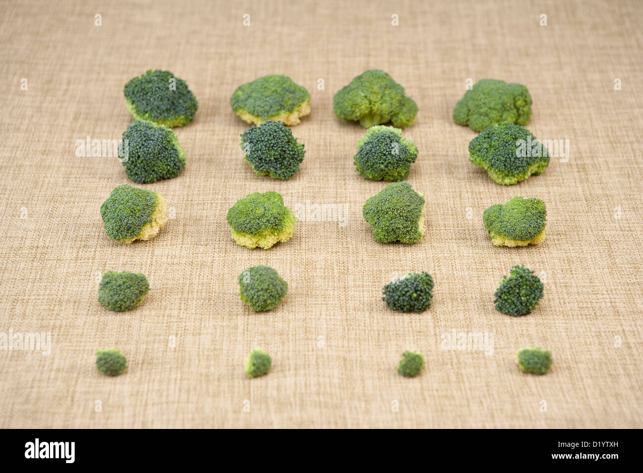 Organic vegetable pattern hi-res stock photography and images - Alamy