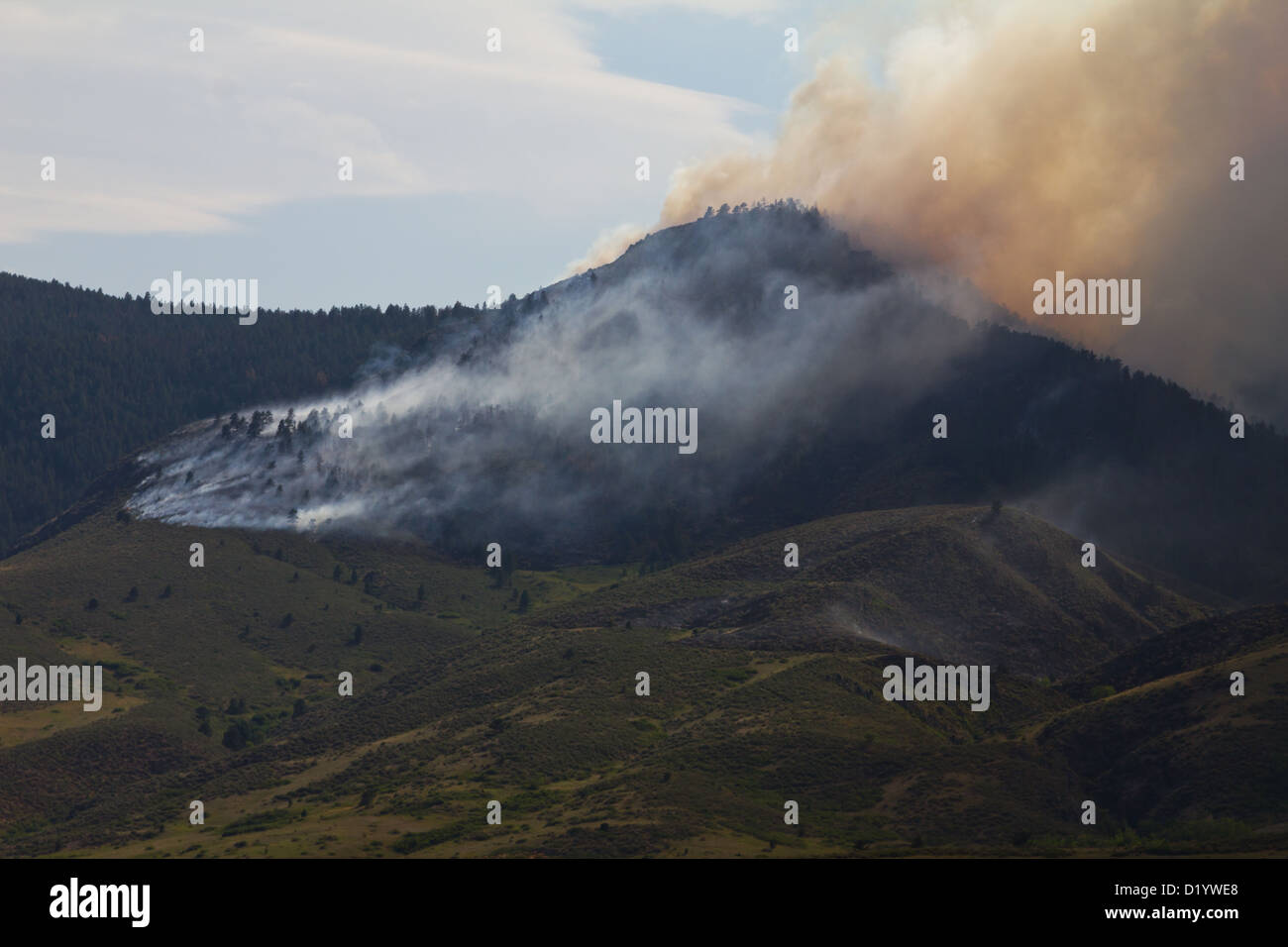 High Park Wild Fire Burning in Colorado Panoramic Stock Photo Alamy