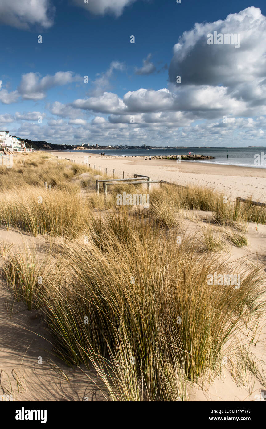 Dune regeneration uk hires stock photography and images Alamy