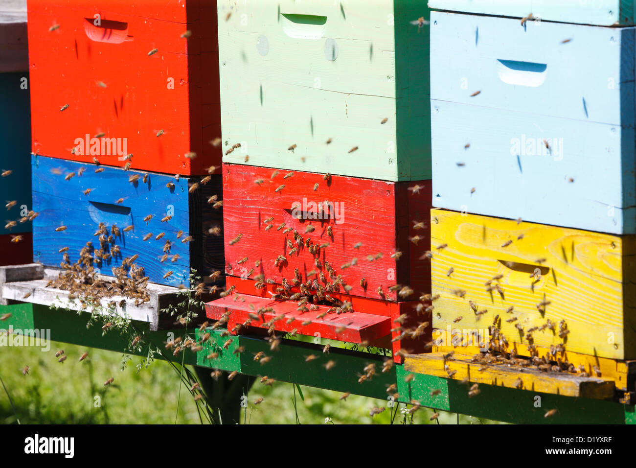 Beehive Stock Photo