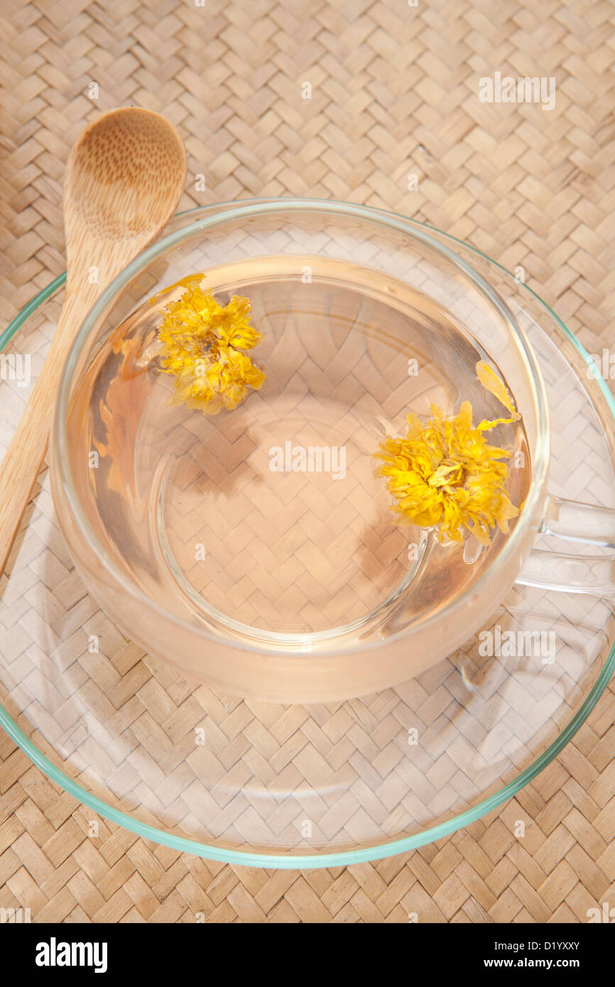 yellow chrysanthemums flower tea in a glass cup Stock Photo