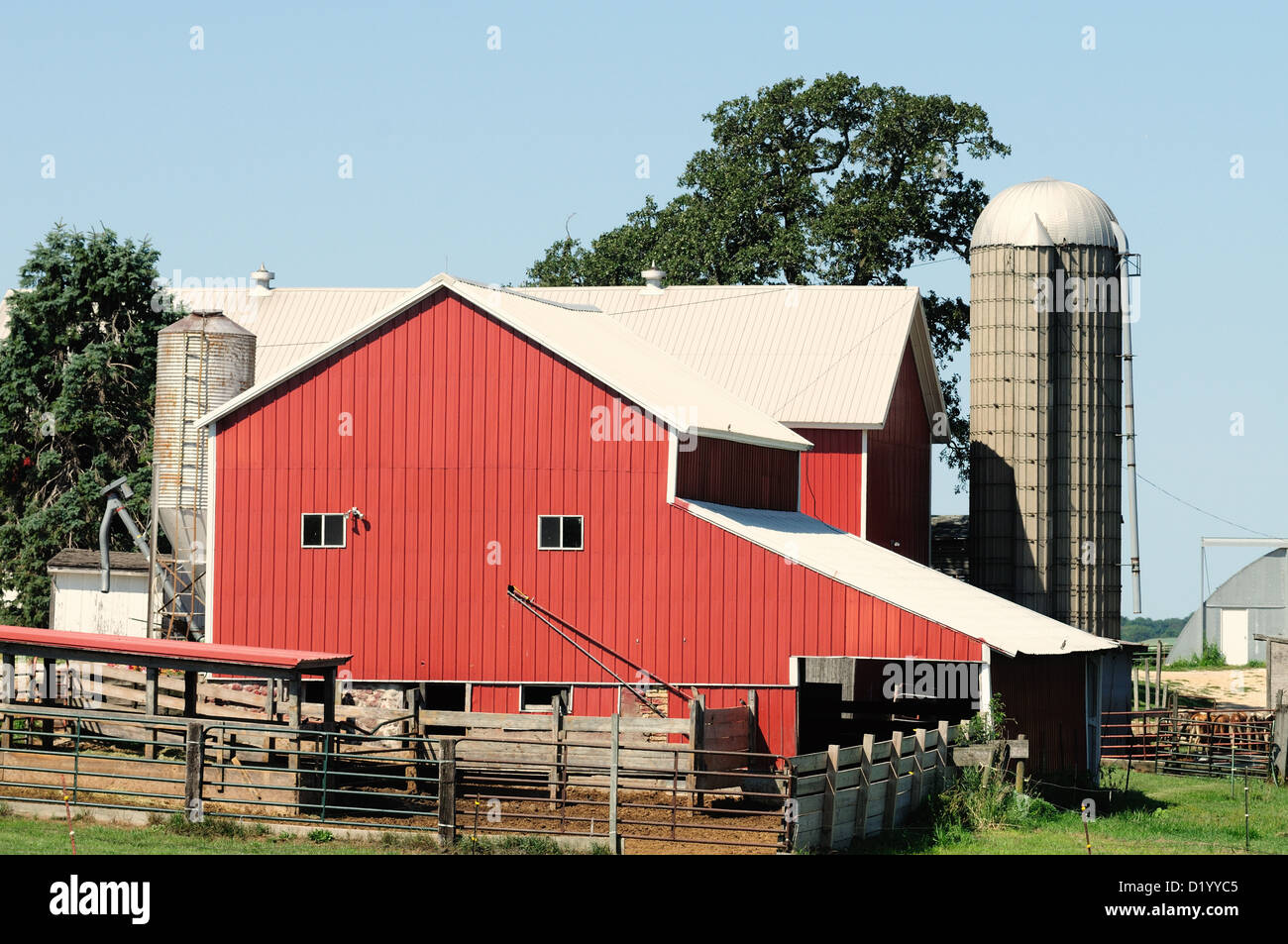 Agriculture well-maintained working livestock barn in Illinois, USA. Stock Photo