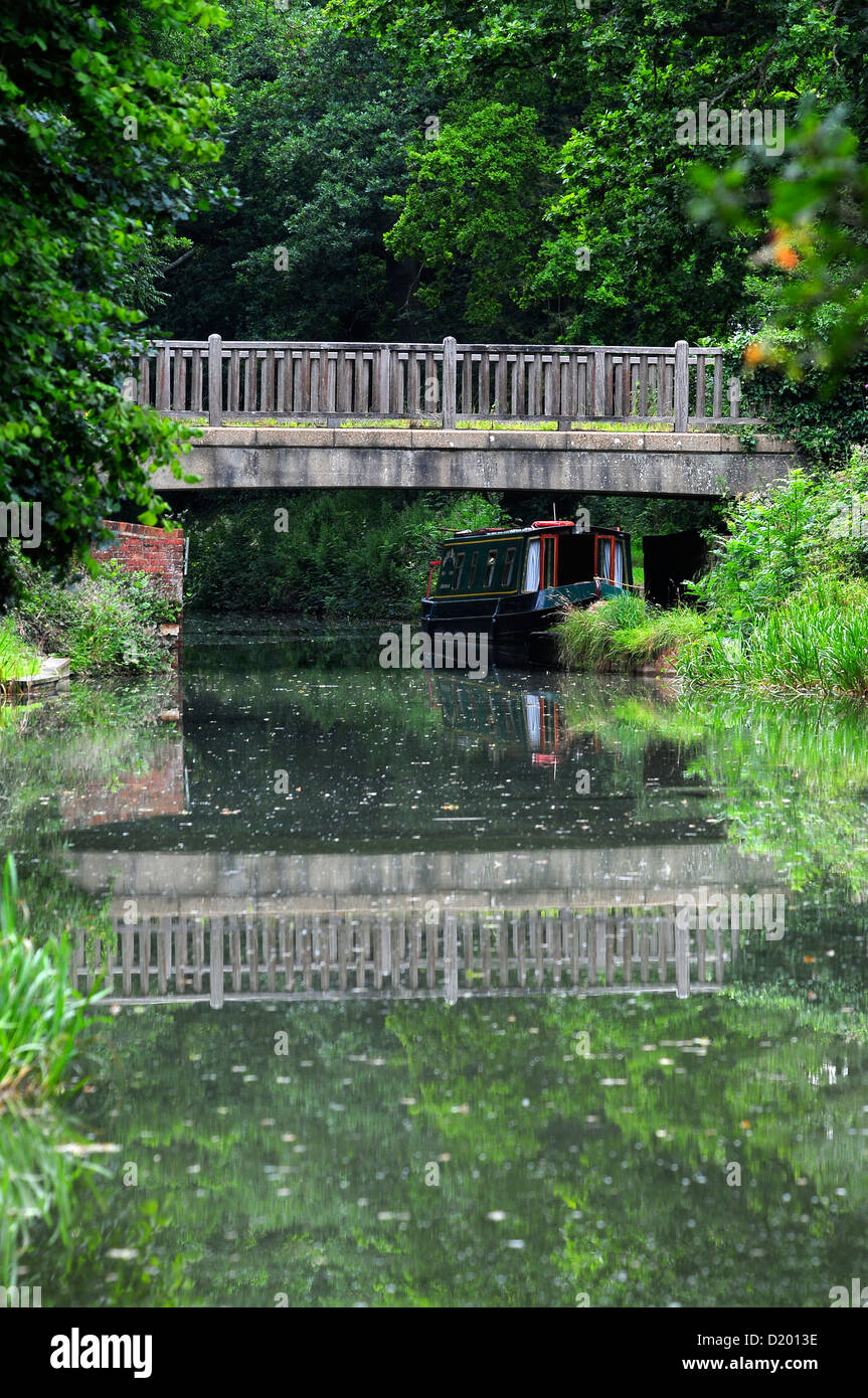 A view of the Basingstoke canal at Crookham UK Stock Photo