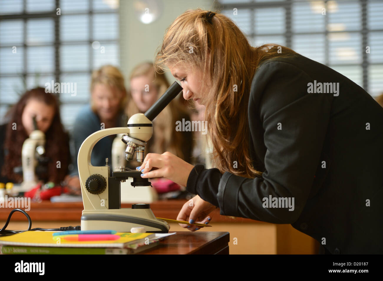 School girls using microscopes during a science lesson at Pates Grammar School in Cheltenham, Gloucestershire UK Stock Photo