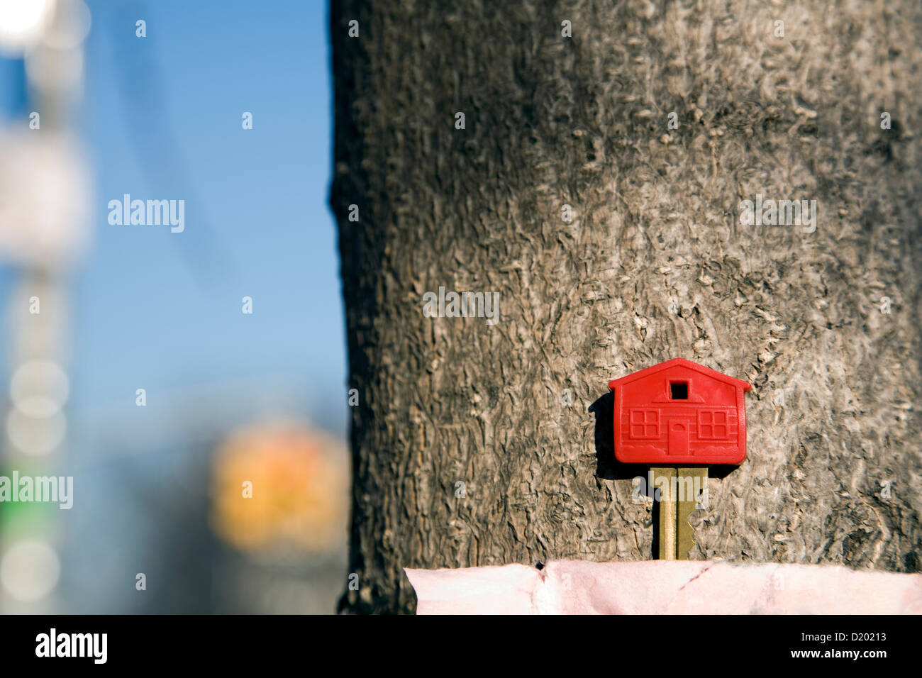 Lost house key taped to tree Stock Photo Alamy