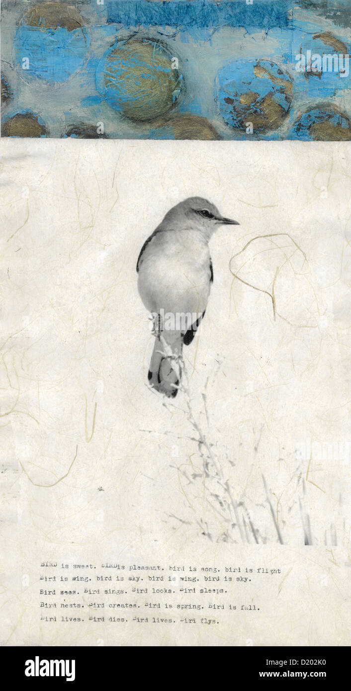 Fine art collage of mockingbird photograph on asian paper with abstract painting and typewriter poem. Stock Photo