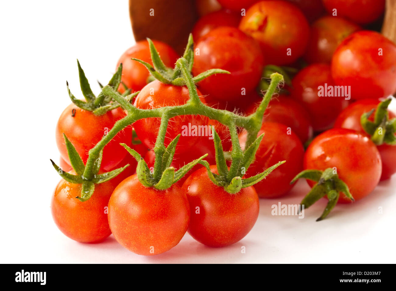 branch of red ripe cherry tomatoes Stock Photo - Alamy