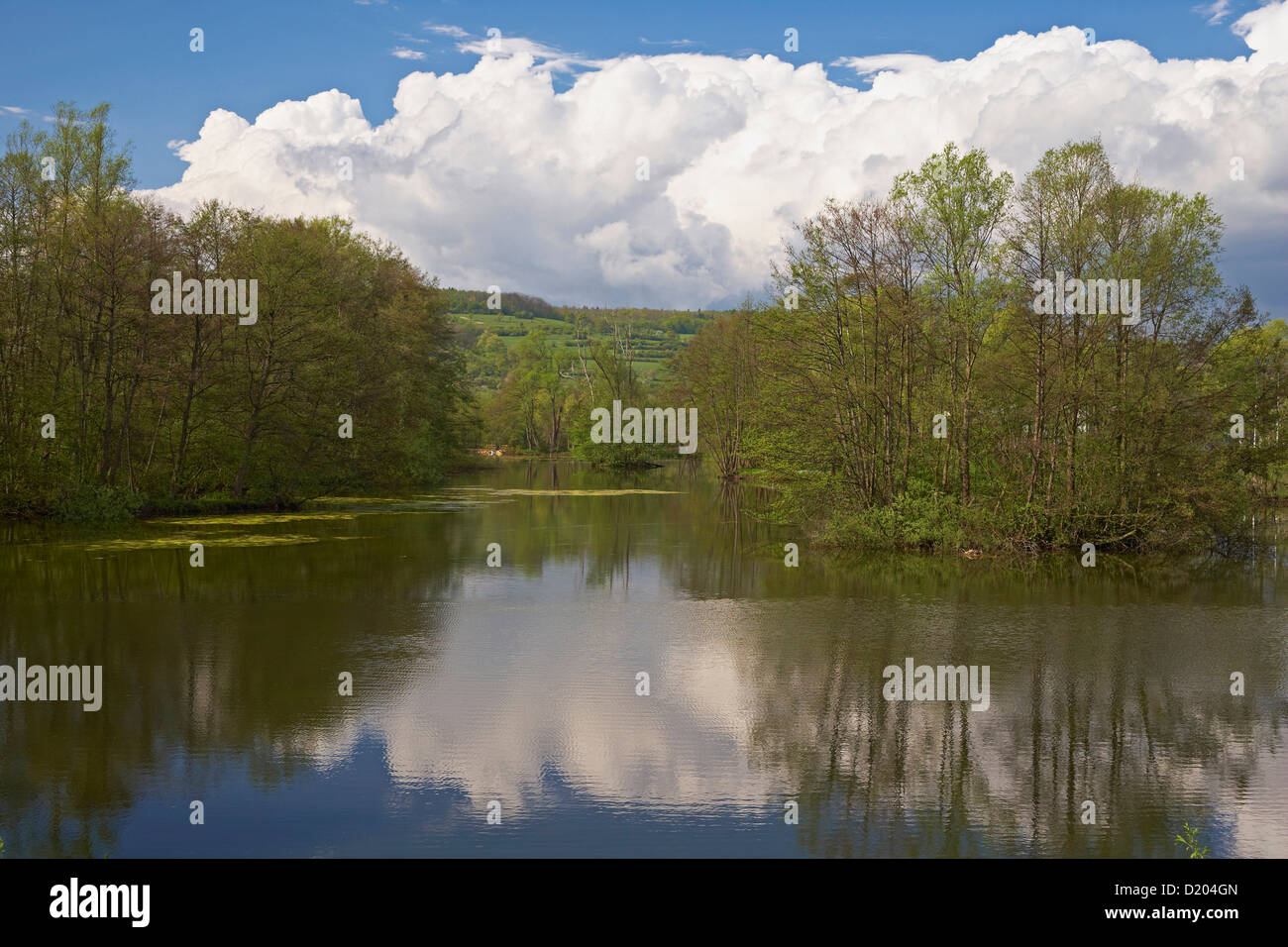 Pond at Bliesbruck-Reinheim European Culture Park, Bliesgau, Saarland, Germany, Europe Stock Photo