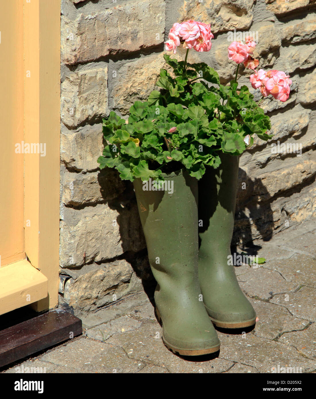 A pair of wellington boots used for growing geraniums outside a front ...