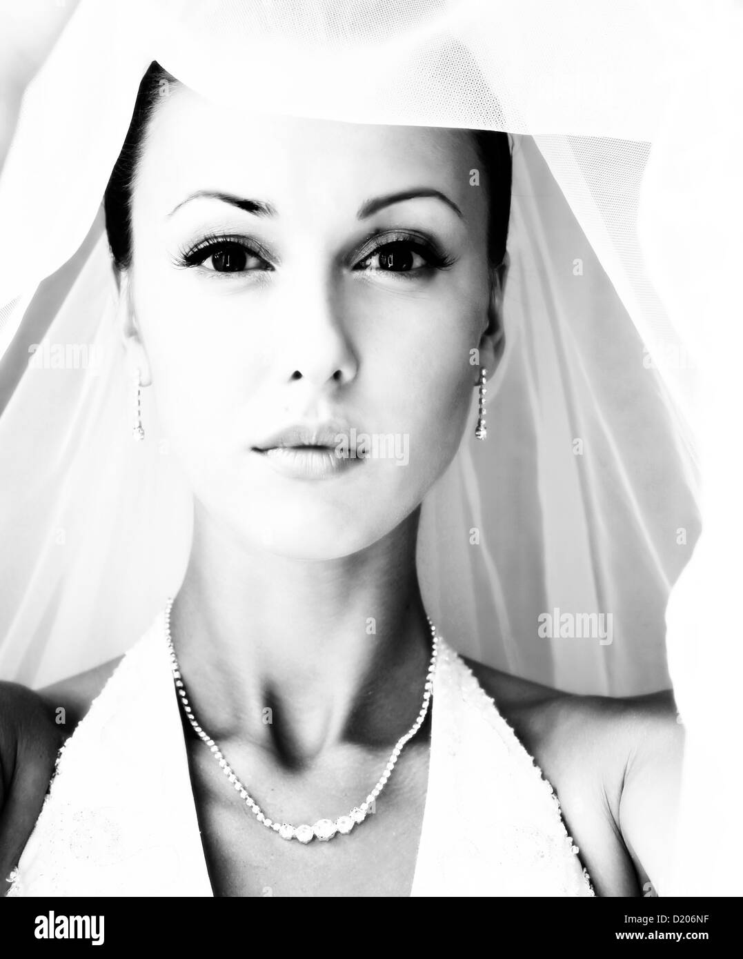 Portrait of the beautiful bride in a veil Stock Photo - Alamy
