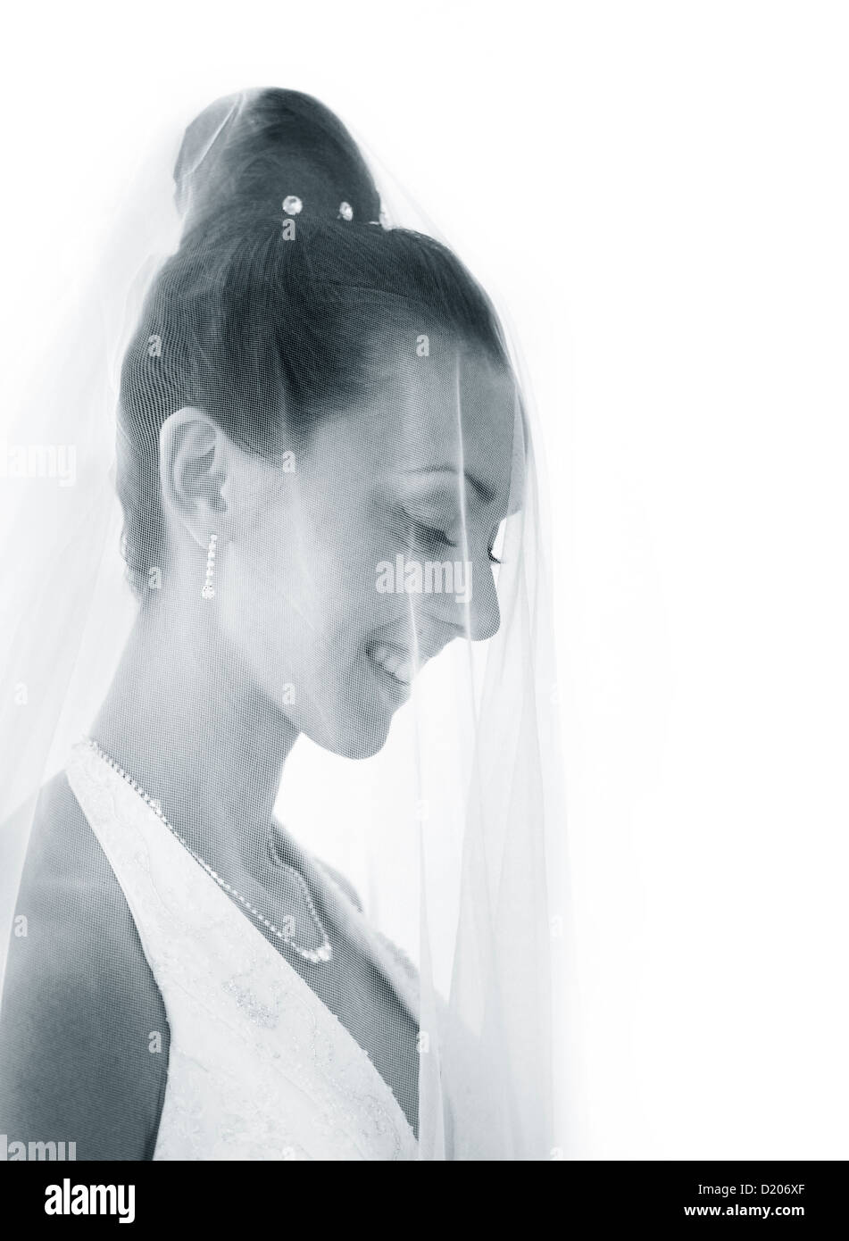 Portrait of the beautiful bride in a veil Stock Photo - Alamy