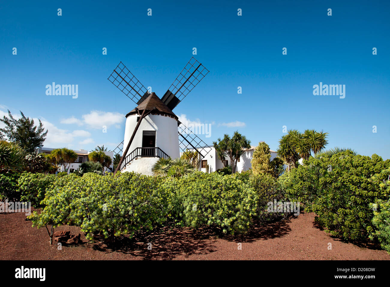 Windmill, Museo Molino, Antigua, Fuerteventura, Canary Islands, Spain Stock Photo