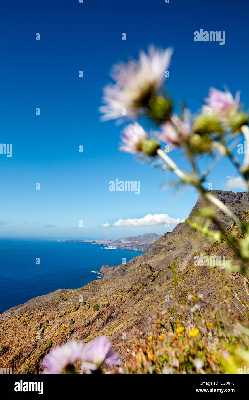 Westcoast mountains, Gran Canaria, Canary Islands, Spain Stock Photo