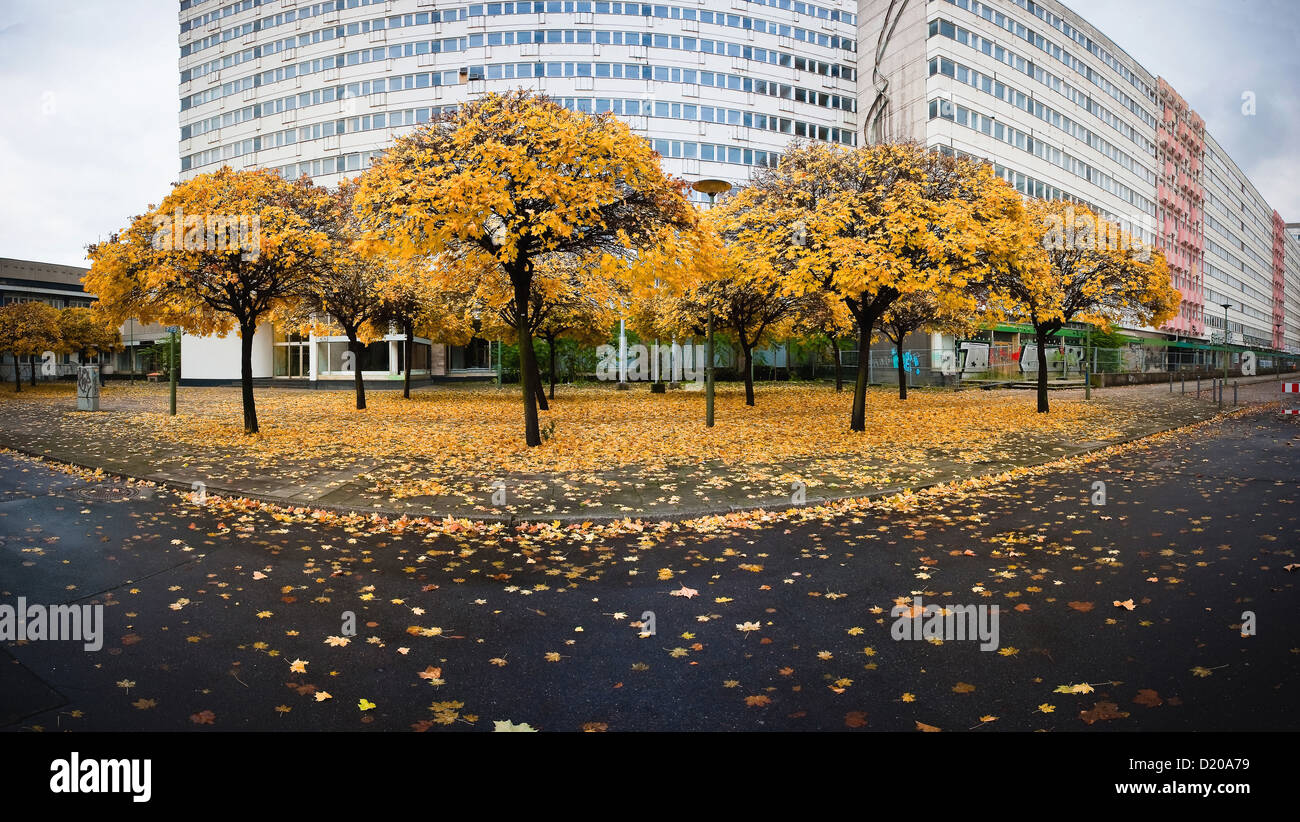 Berlin, Germany, Autumn in the Otto-Braun-Strasse at Alexanderplatz Stock Photo
