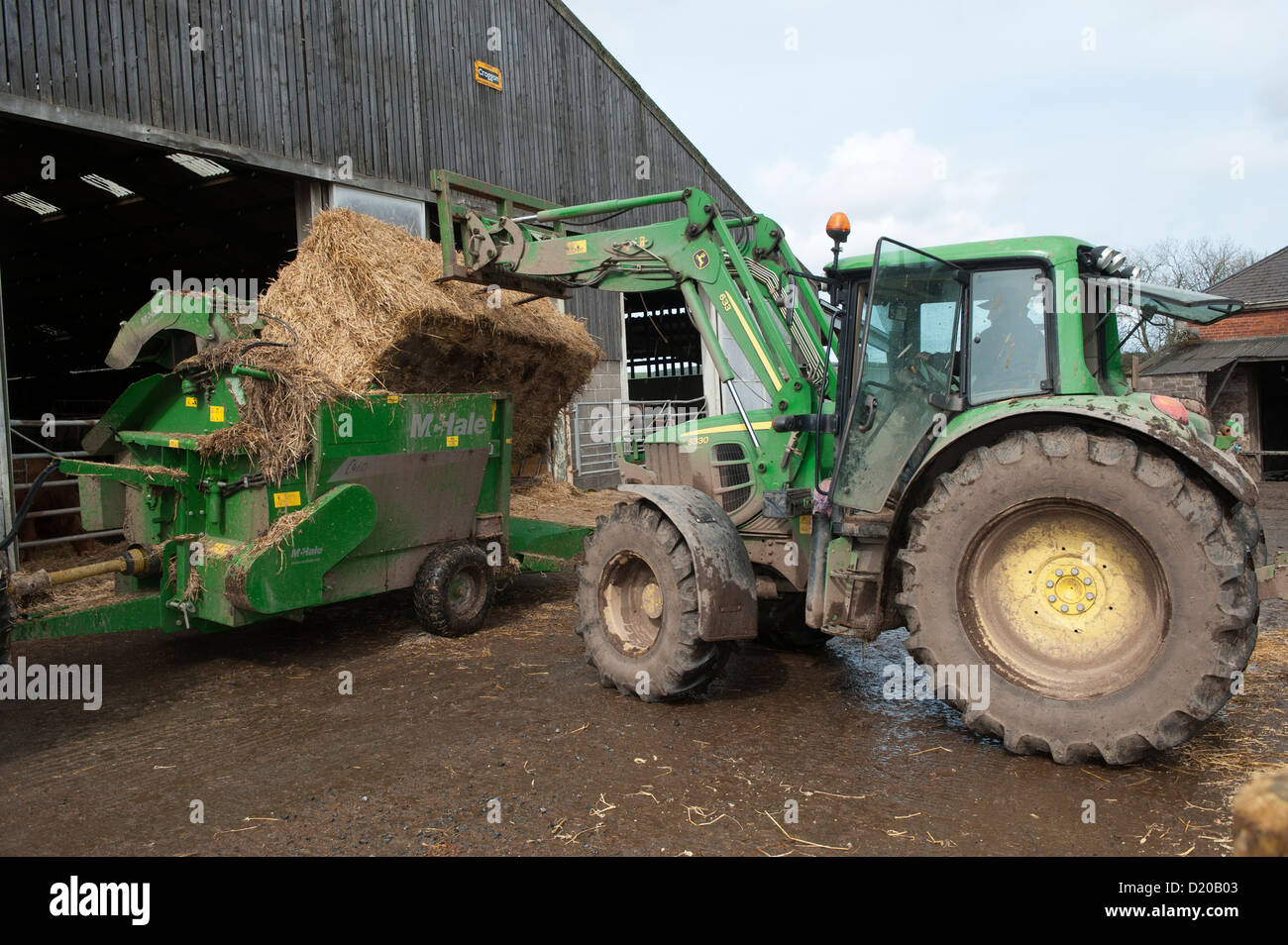 Loading bale of straw into straw chopper used to bed cattle pens